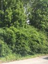 Hewitt Rd photo